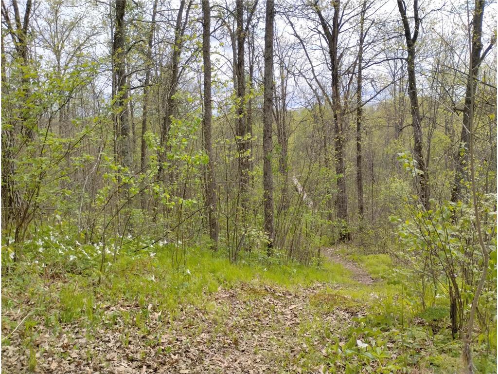 2263 280th Avenue Peace Twp MN 55007 - Snake River 7075503 image55