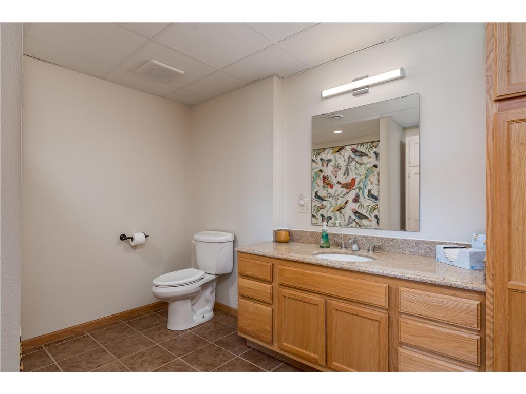 22643 Oriole Circle Madison Lake MN 56063 - Madison Lake 7061851 image47