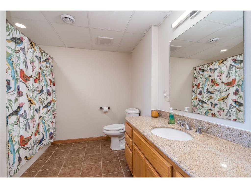 22643 Oriole Circle Madison Lake MN 56063 - Madison Lake 7061851 image48