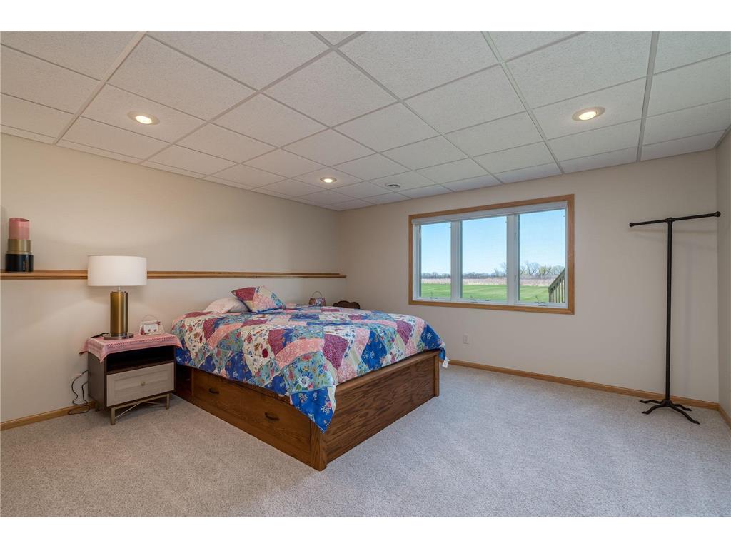 22643 Oriole Circle Madison Lake MN 56063 - Madison Lake 7061851 image49