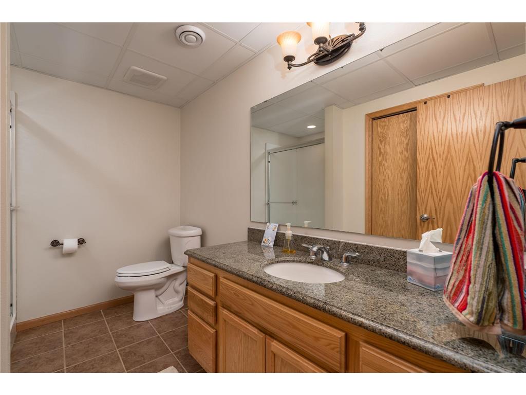 22643 Oriole Circle Madison Lake MN 56063 - Madison Lake 7061851 image51