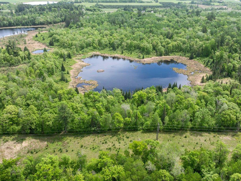 22668 299th Avenue Akeley Twp MN 56433 7086093 image24
