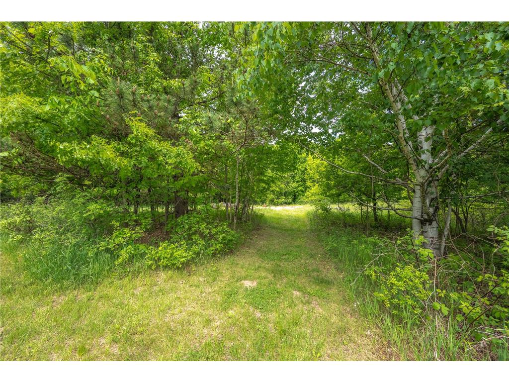 2269 195th Street Eureka WI 54824 7084850 image46
