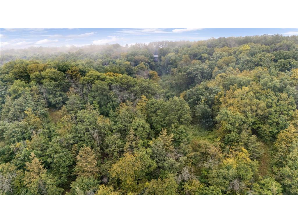 227 Rivercrest Drive Hudson WI 54016 - St Croix River 7006876 image77