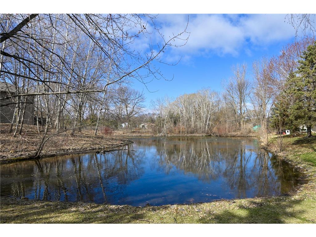 22701 131st Avenue N Rogers MN 55374 7059912 image37