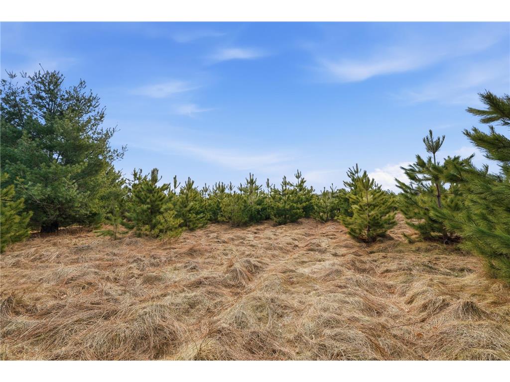 22704 Godfrey Road Siren WI 54872 - Clam River 7044749 image38