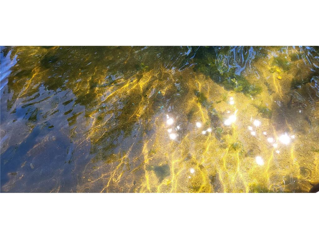 2271 Highway 27 E #7 Osakis MN 56360 - Osakis 7038218 image12