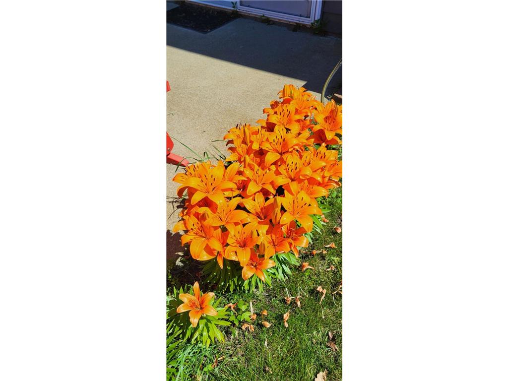 2271 Highway 27 E #7 Osakis MN 56360 - Osakis 7038218 image7