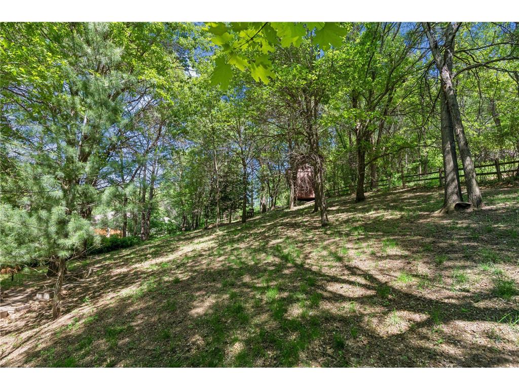 2271 Twin Bluff Road Red Wing MN 55066 7033623 image64
