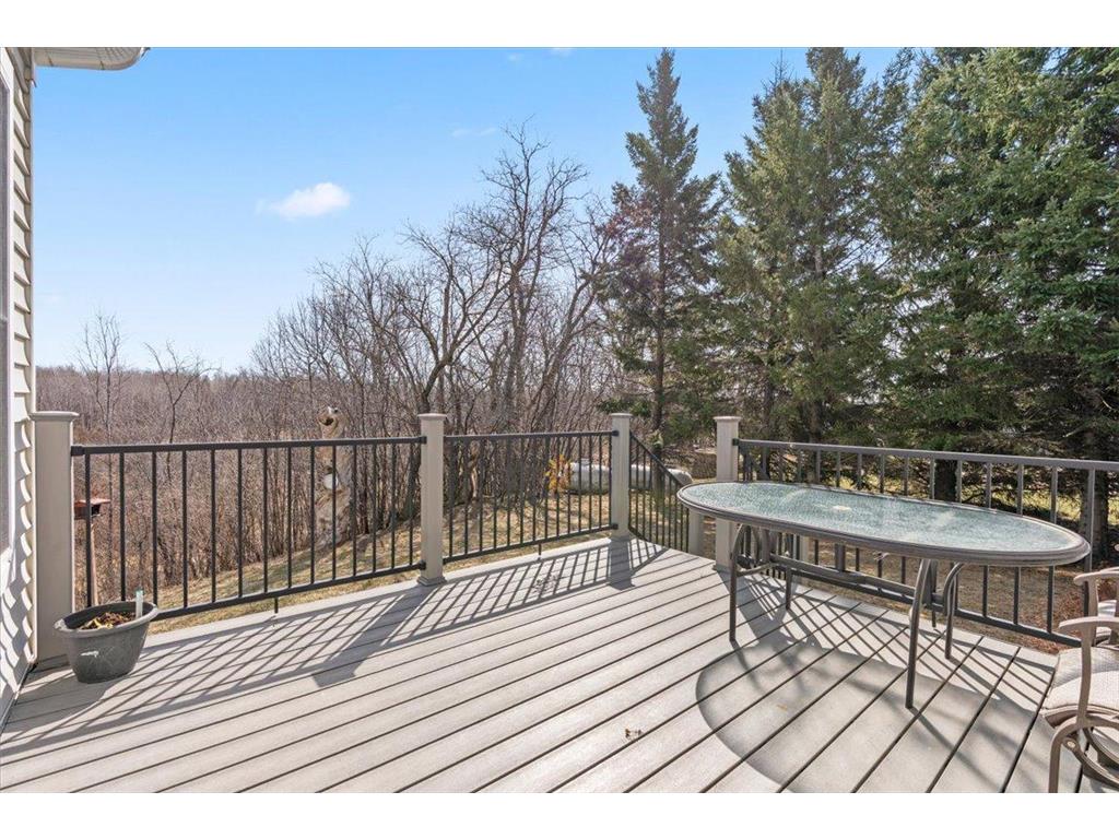 22723 Xenon Street NW Nowthen MN 55330 7048815 image46