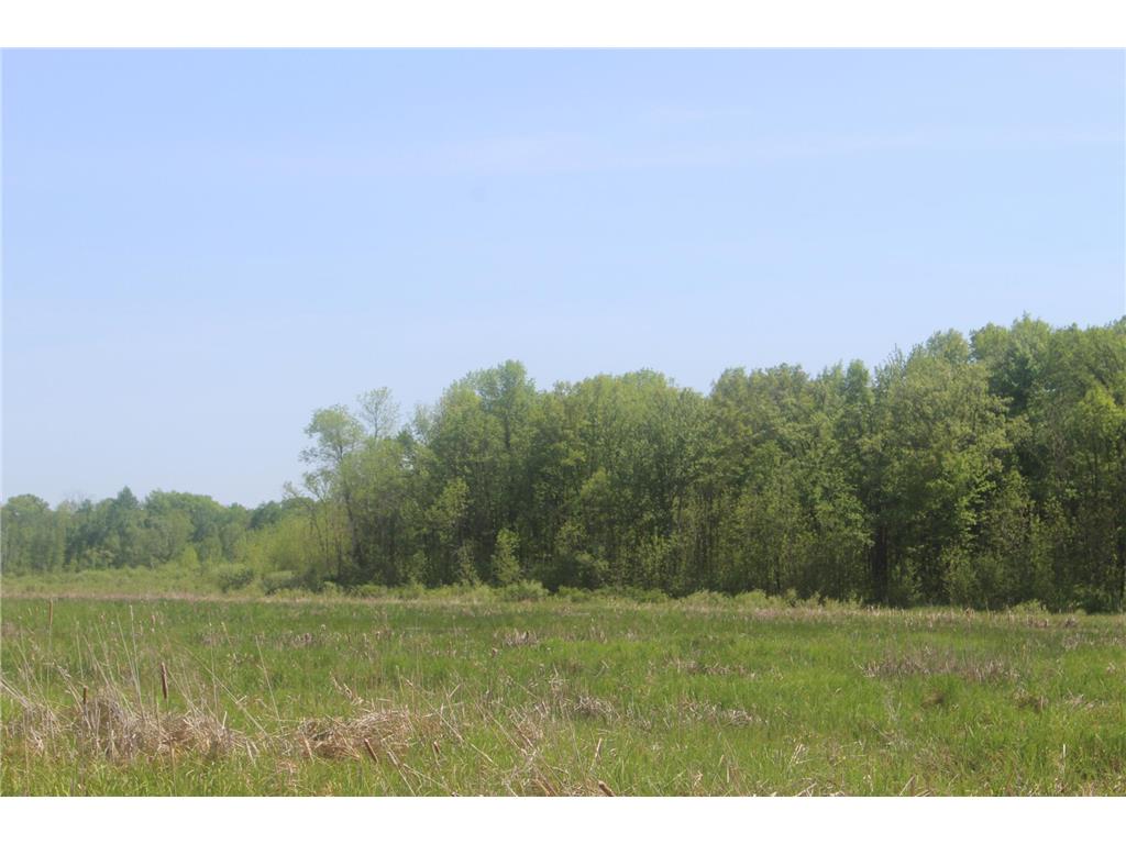 22748 160th Avenue Milaca MN 56353 7080403 image11