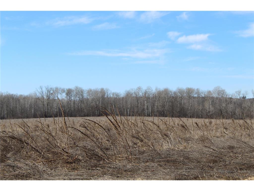 22748 160th Avenue Milaca MN 56353 7080403 image12
