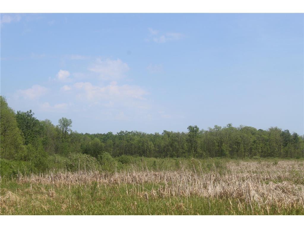 22748 160th Avenue Milaca MN 56353 7080403 image13