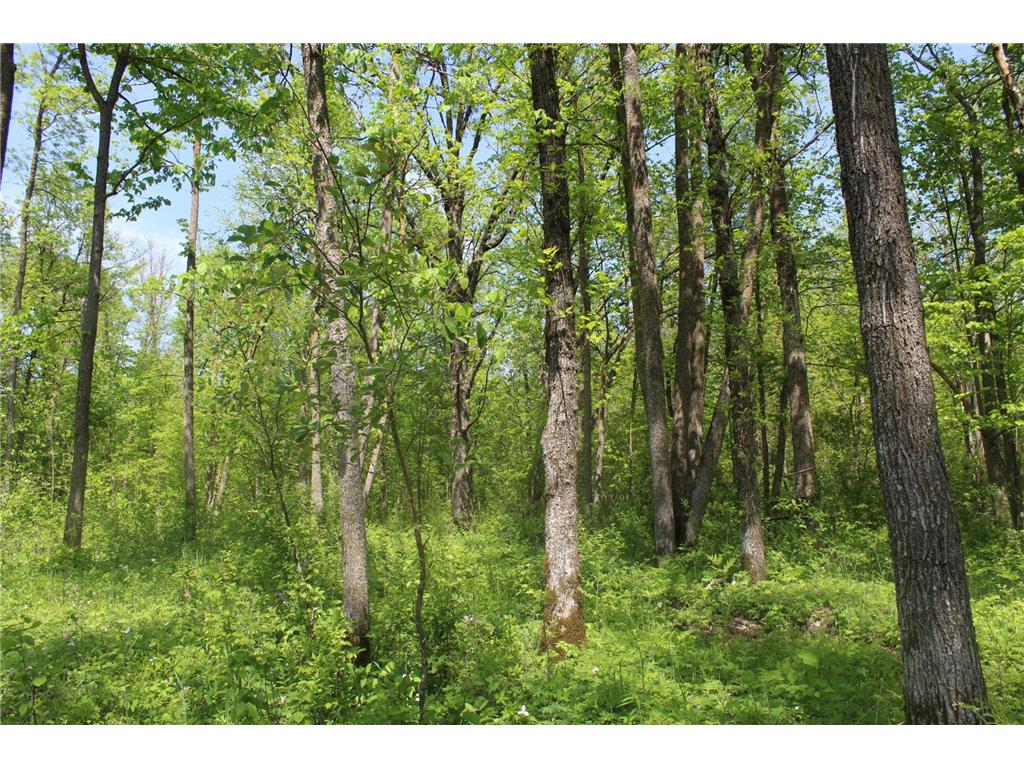 22748 160th Avenue Milaca MN 56353 7080403 image4