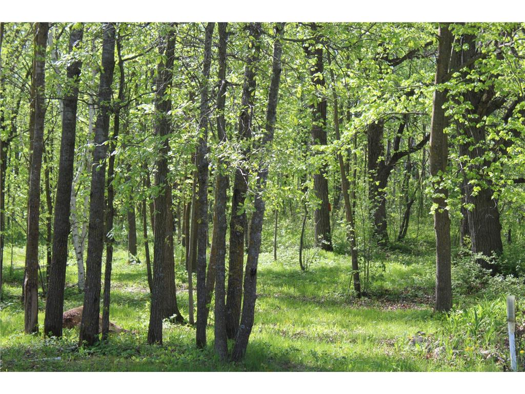22748 160th Avenue Milaca MN 56353 7080403 image6