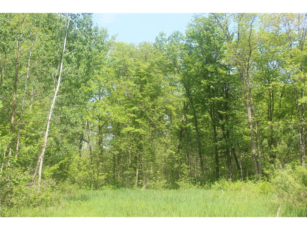 22748 160th Avenue Milaca MN 56353 7080403 image9