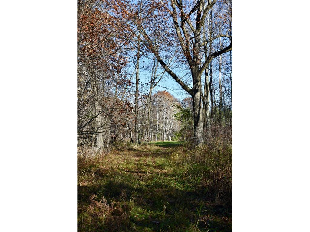 22761 105th Avenue Milaca MN 56353 7056676 image85