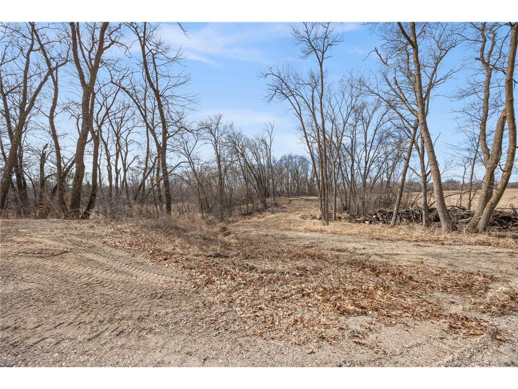 22780 Csah 14 Darwin MN 55324 - Washington 7034044 image68