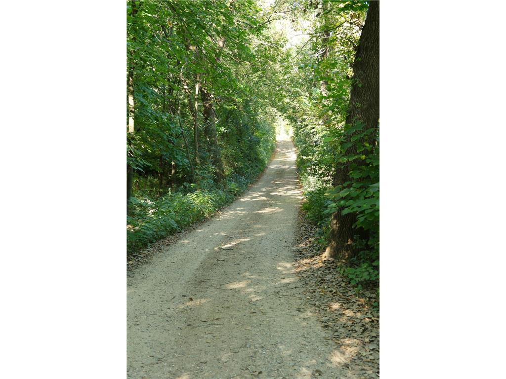 22780 Csah 14 Darwin Twp MN 55324 - Washington 6625592 image52