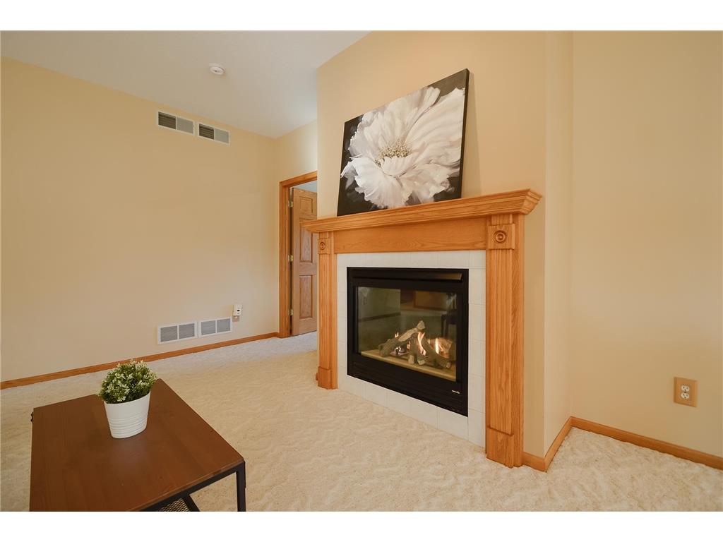 228 Goldfinch Lane Clearwater MN 55320 7040426 image22