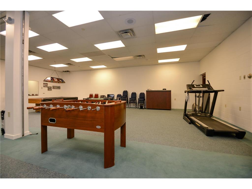 228 Goldfinch Lane Clearwater MN 55320 7040426 image48