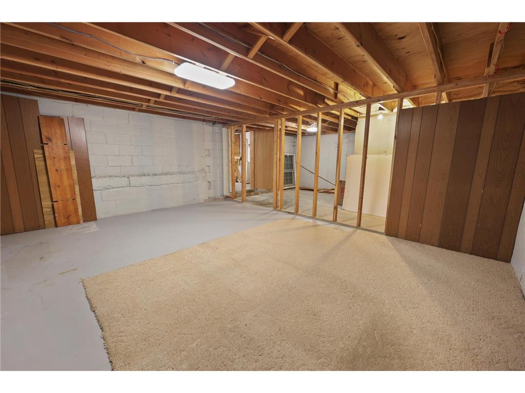 228 N Gilman Avenue Litchfield MN 55355 7091889 image58