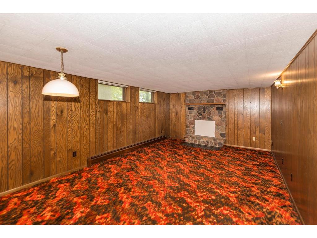 22805 Thompson Point Road Deerwood MN 56444 - Serpent 7082577 image34