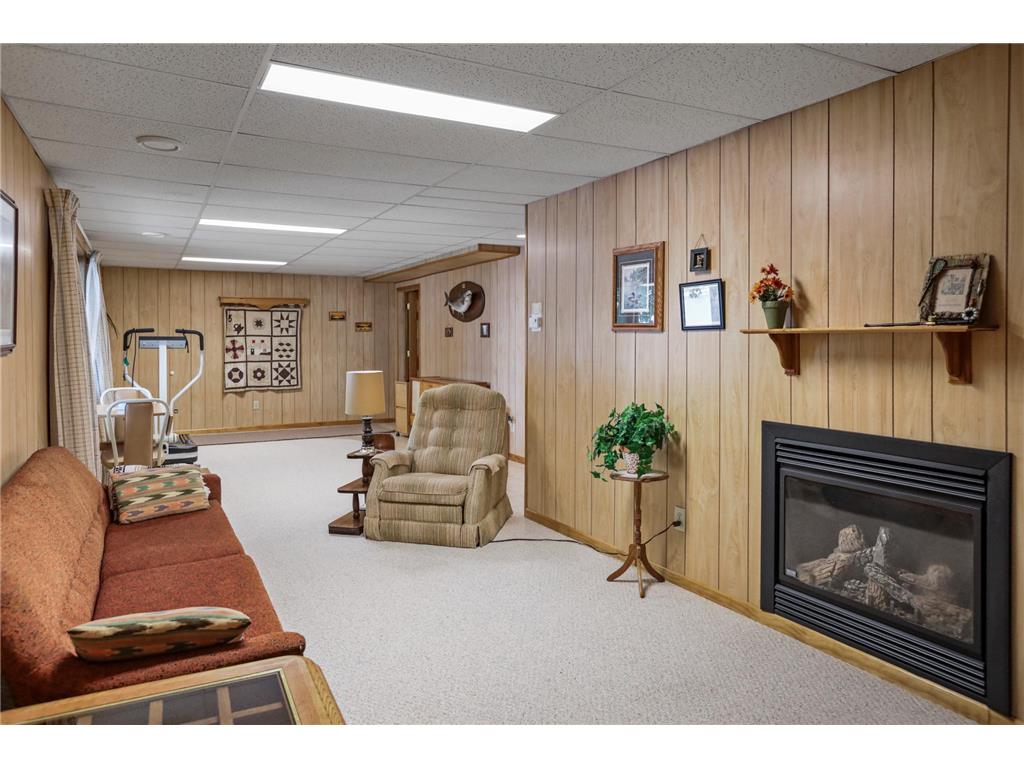 22818 Stavenau Lane Elysian Twp MN 56028 - German Lake 7070034 image18