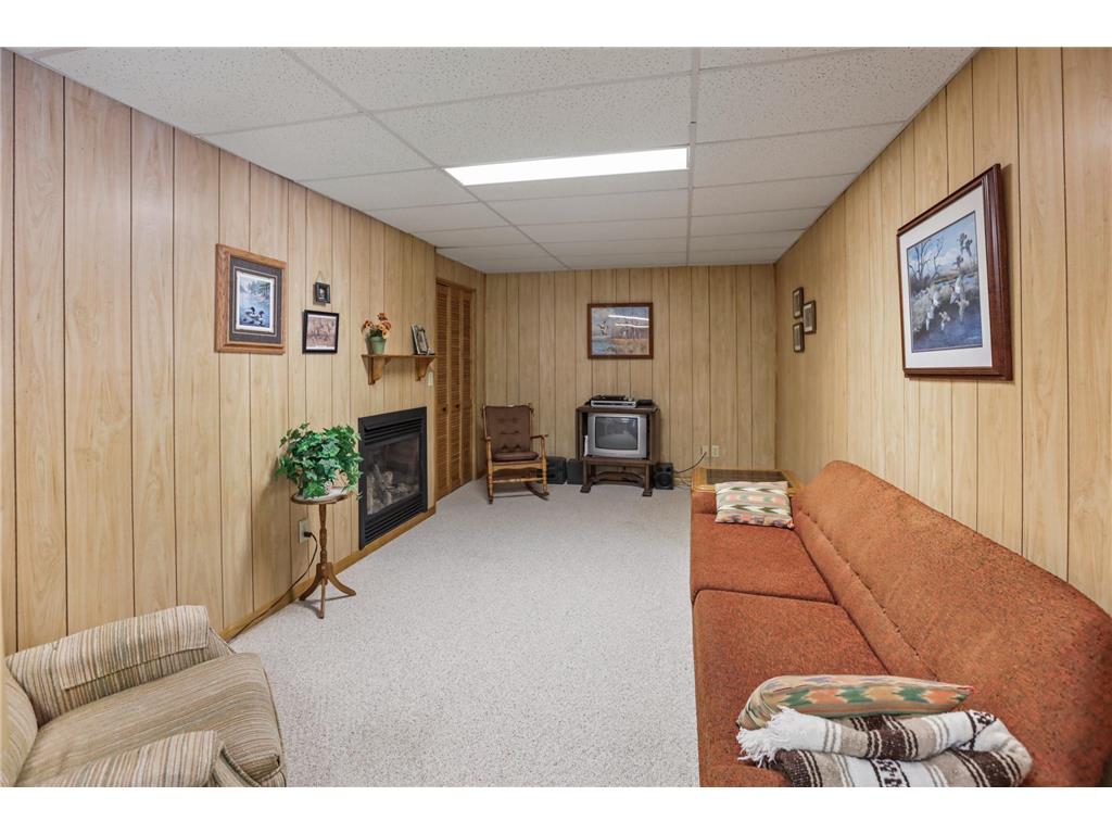22818 Stavenau Lane Elysian Twp MN 56028 - German Lake 7070034 image19