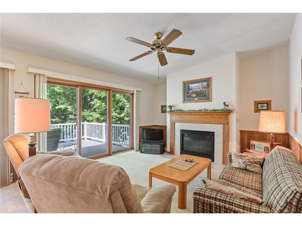 22818 Stavenau Lane Elysian Twp MN 56028 - German Lake 7070034 image8