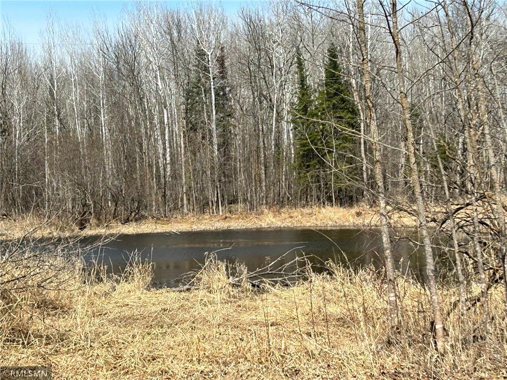 22841 Hwy 71 NE #22841/22843 Hines MN 56647 7031039 image101