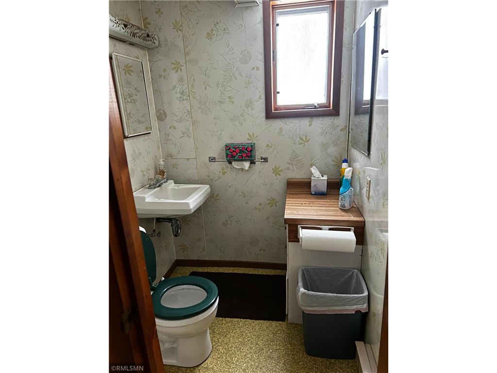 22841 Hwy 71 NE #22841/22843 Hines MN 56647 7031039 image50
