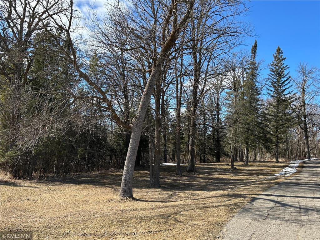 22841 Hwy 71 NE #22841/22843 Hines MN 56647 7031039 image61