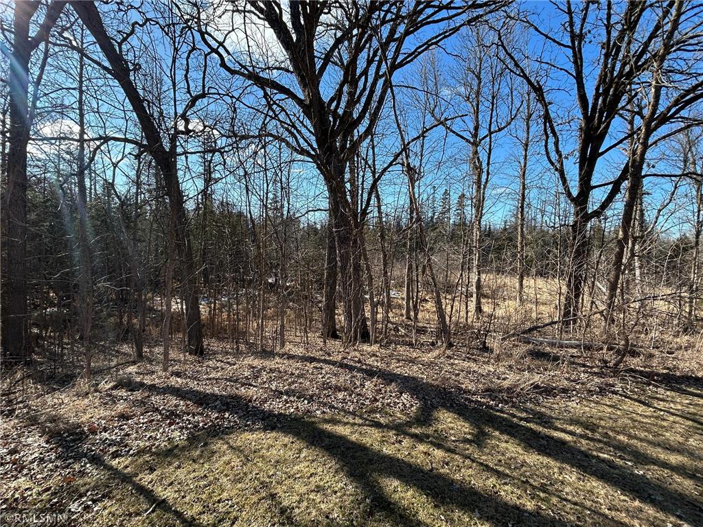 22841 Hwy 71 NE #22841/22843 Hines MN 56647 7031039 image69