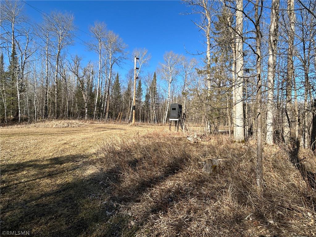 22841 Hwy 71 NE #22841/22843 Hines MN 56647 7031039 image75