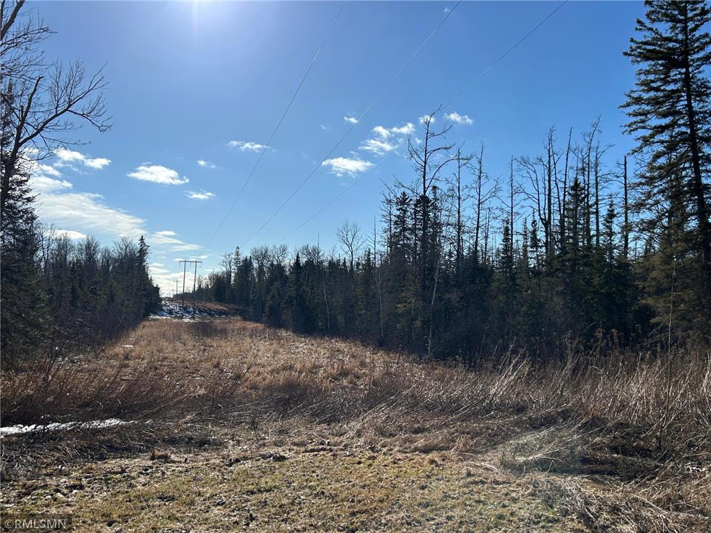 22841 Hwy 71 NE #22841/22843 Hines MN 56647 7031039 image76
