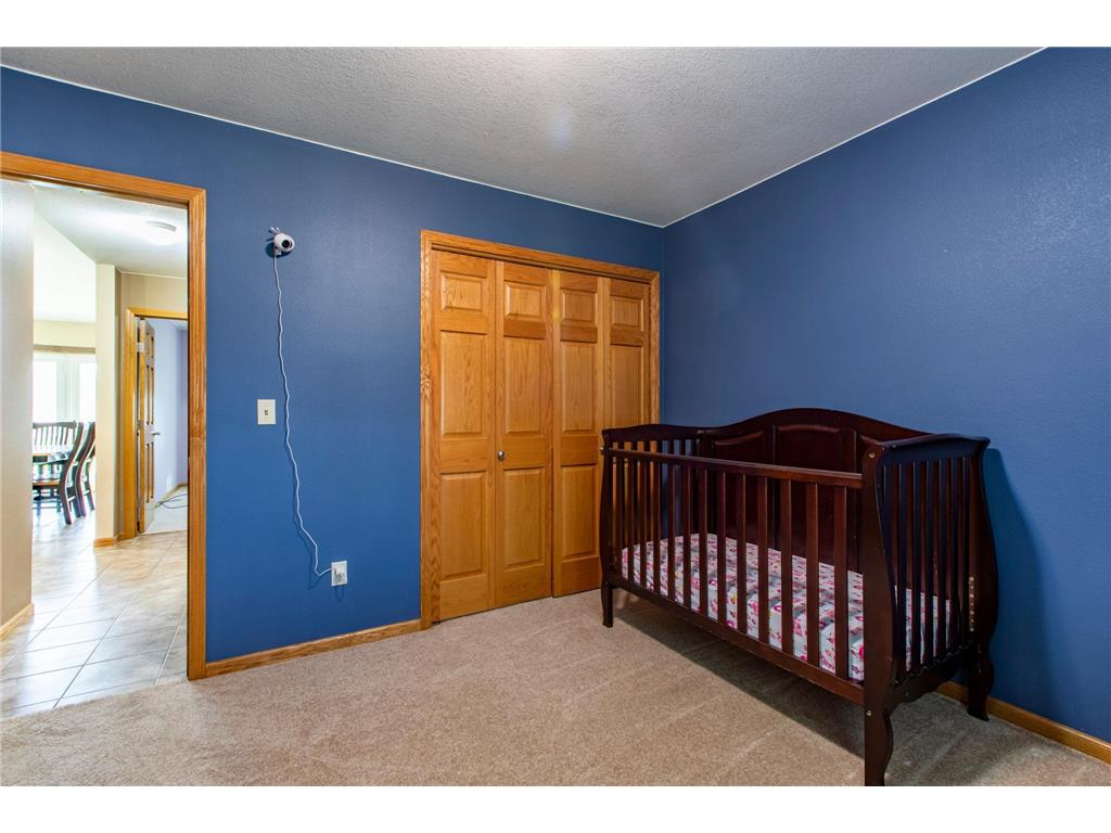 22842 530th Street Milton Twp MN 55985 6721117 image22