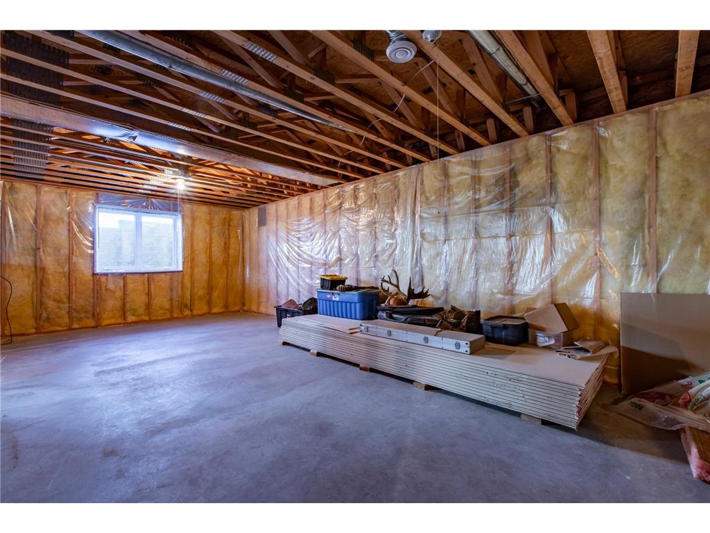 22842 530th Street Milton Twp MN 55985 6721117 image28