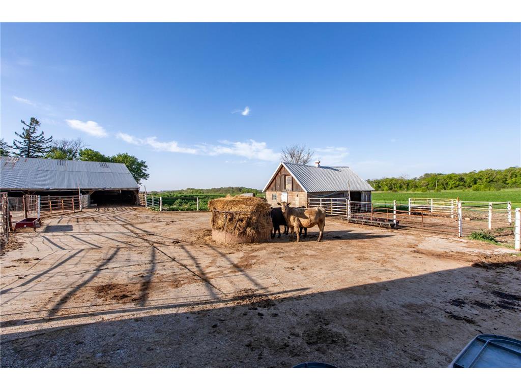 22842 530th Street Milton Twp MN 55985 6721117 image44