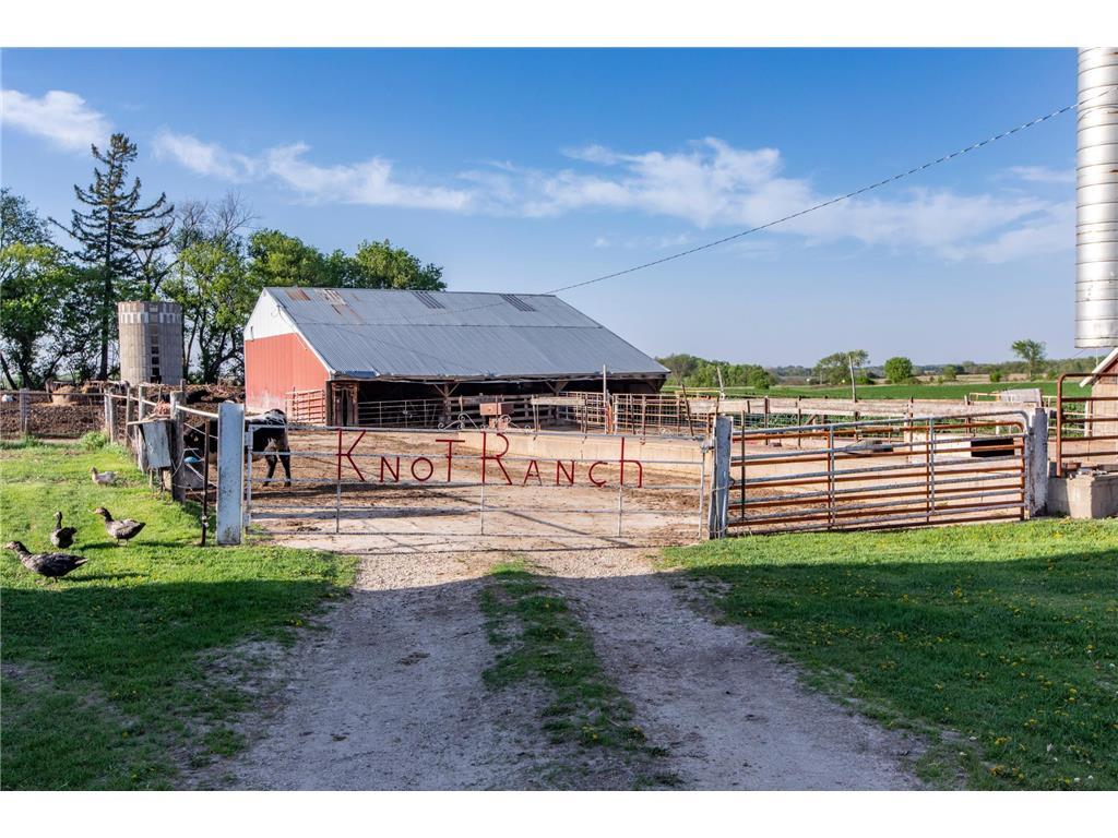 22842 530th Street Milton Twp MN 55985 6721117 image45