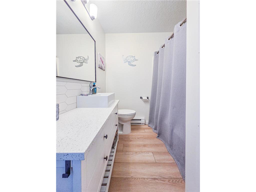 2286 28th Avenue SW #306 Pine River Twp MN 56474 7052310 image22