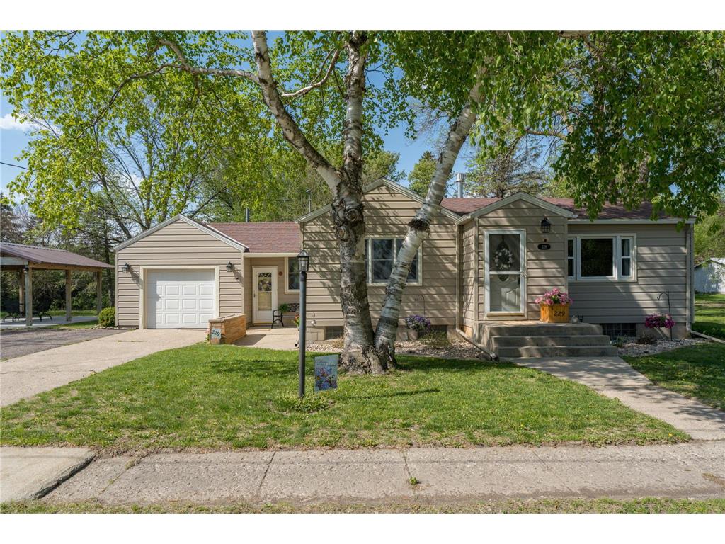229 5th Avenue SW Winnebago MN 56098 6720056 image1