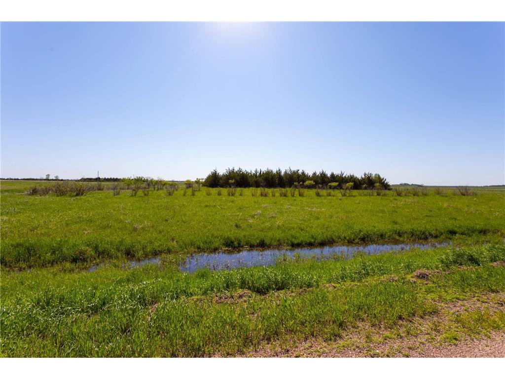 2290 20th Street NW Shible Twp MN 56208 6171872 image1