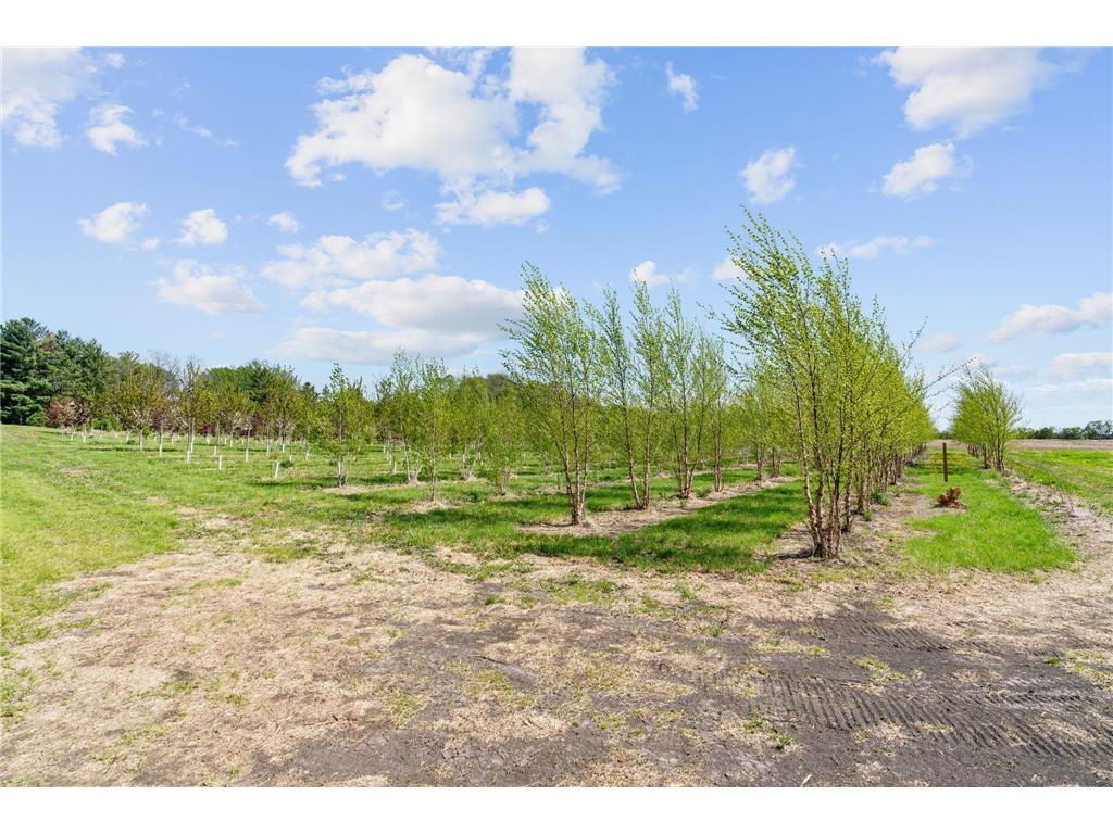 22901 Oakdale Drive Corcoran MN 55374 7075481 image28