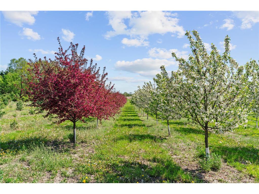 22901 Oakdale Drive Corcoran MN 55374 7075481 image30