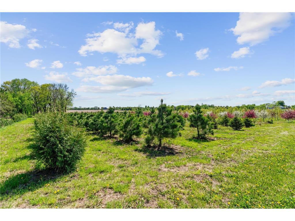 22901 Oakdale Drive Corcoran MN 55374 7075481 image31