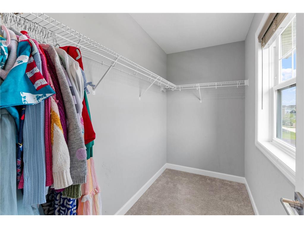 22915 Wood Lane Rogers MN 55374 7093402 image47
