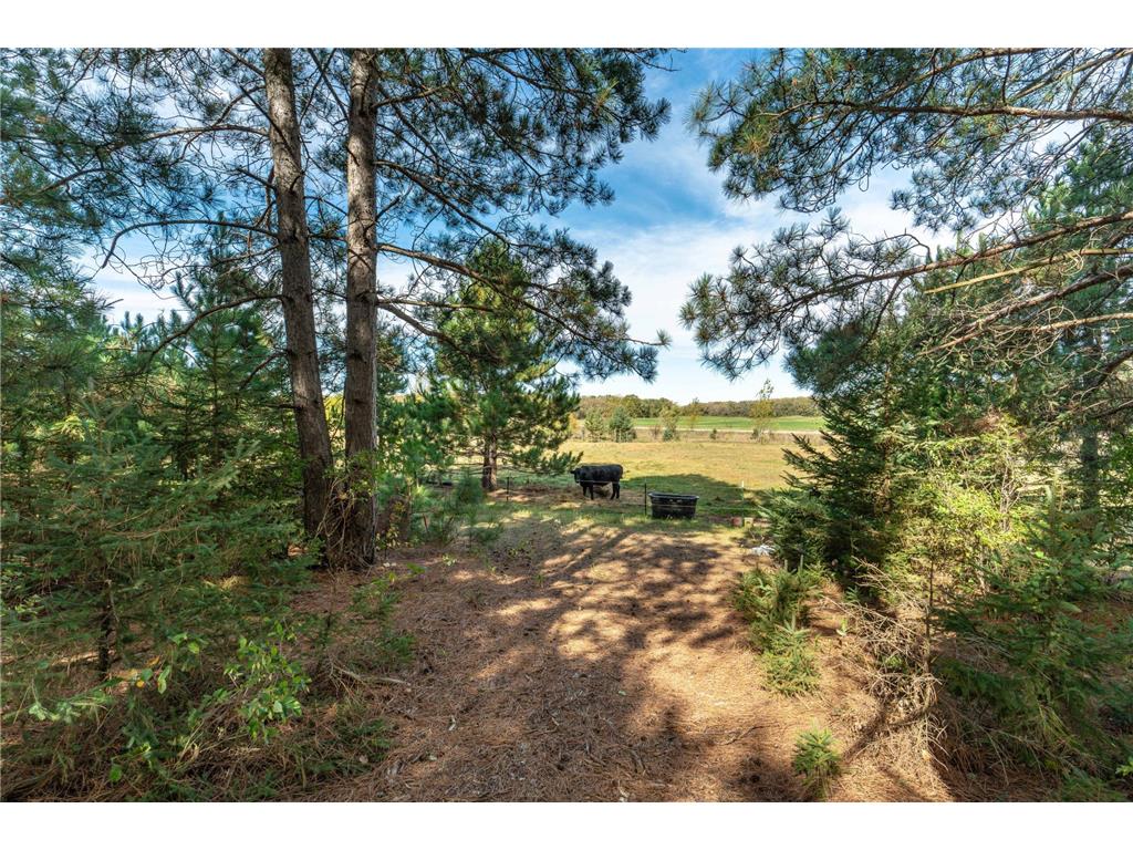 22939 510th Avenue Henning Twp MN 56551 7075318 image85