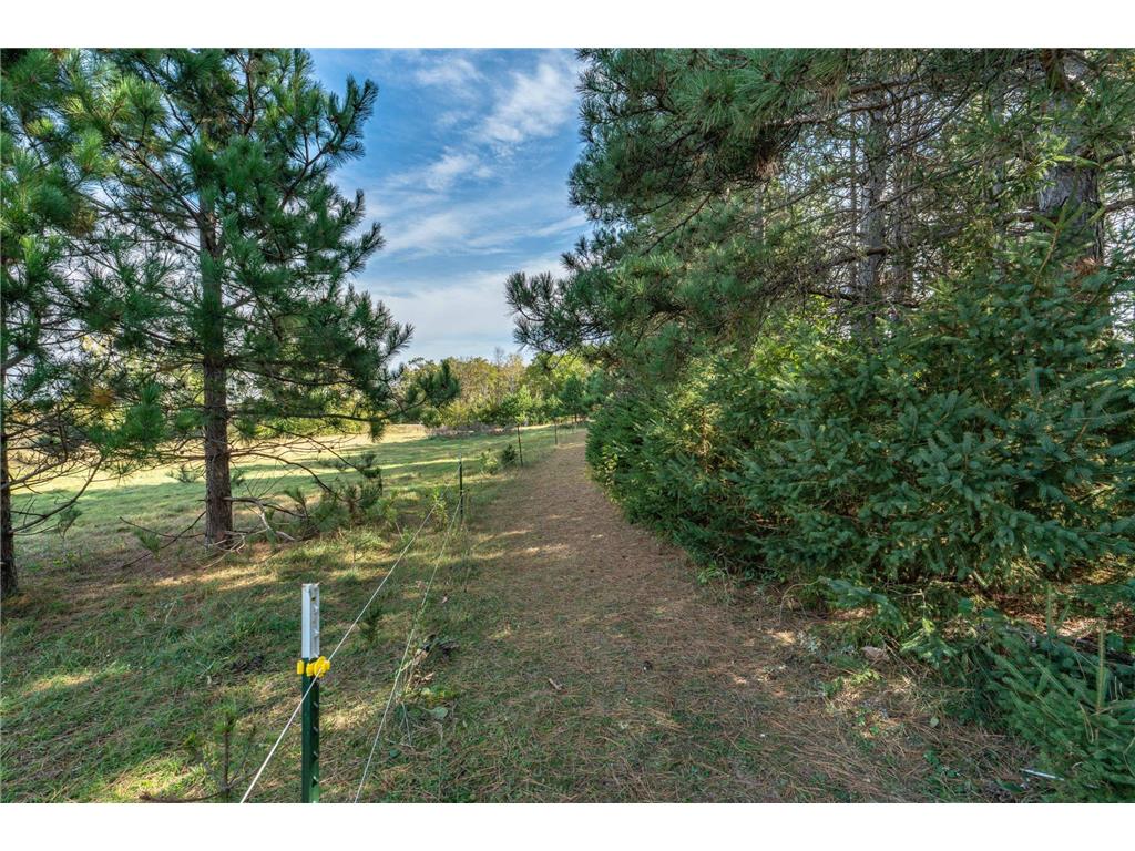 22939 510th Avenue Henning Twp MN 56551 7075318 image87