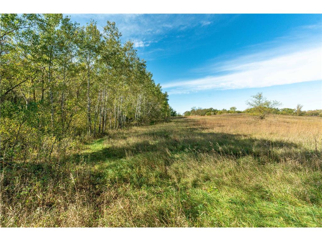 22939 510th Avenue Henning Twp MN 56551 7075318 image91